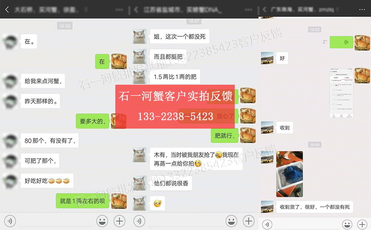 盘锦河蟹批发尝鲜图片
